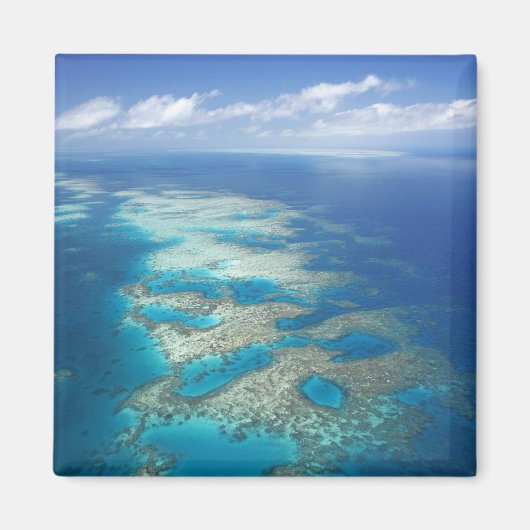 Tongue Reef, Great Barrier Reef Marine Park Magneet (Voorkant)