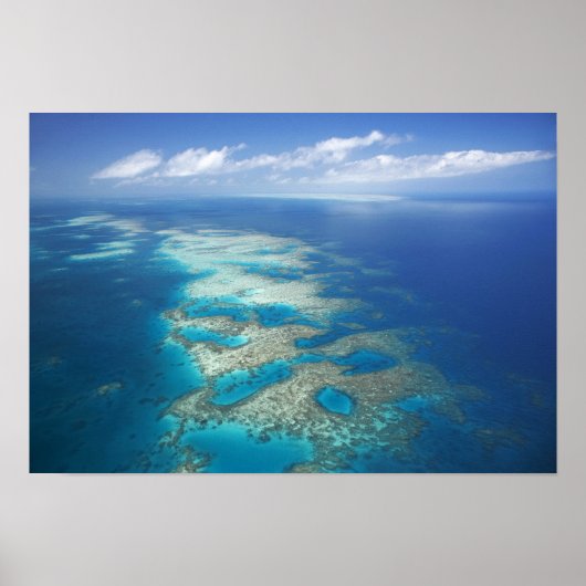 Tongue Reef, Great Barrier Reef Marine Park Poster (Voorkant)