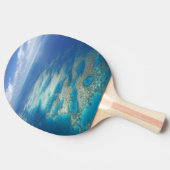 Tongue Reef, Great Barrier Reef Marine Park Tafeltennisbatje (Zijkant)