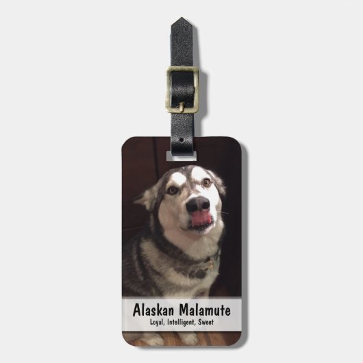 Tongue Teasing Alaskan Malamute Photogram Bagagelabel (Voorkant verticaal)