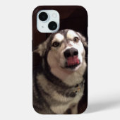 Tongue Teasing Alaskan Malamute Photogram Case-Mate iPhone Case (Achterkant)