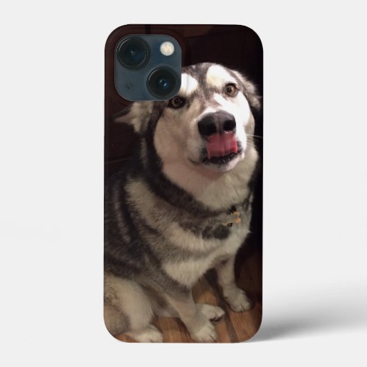 Tongue Teasing Alaskan Malamute Photogram Case-Mate iPhone Case (Achterkant)