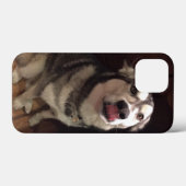 Tongue Teasing Alaskan Malamute Photogram Case-Mate iPhone Case (Achterkant (horizontaal))