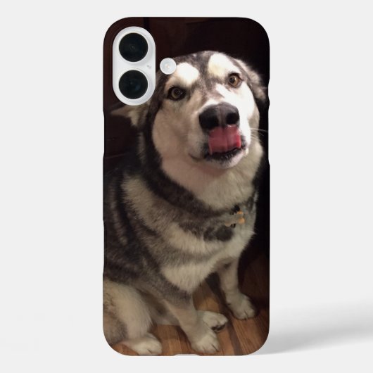 Tongue Teasing Alaskan Malamute Photogram Case-Mate iPhone Case (Achterkant)