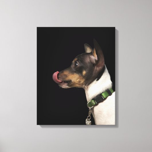 Tongue uit de zwarte en witte terrier canvas afdruk (Voorkant)