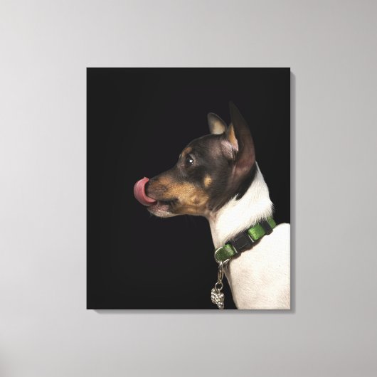 Tongue uit de zwarte en witte terrier canvas afdruk (Voorkant)