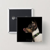 Tongue uit de zwarte en witte terrier vierkante button 5,1 cm (Voorkant /achterkant)