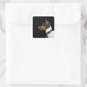 Tongue uit de zwarte en witte terrier vierkante sticker (Tas)