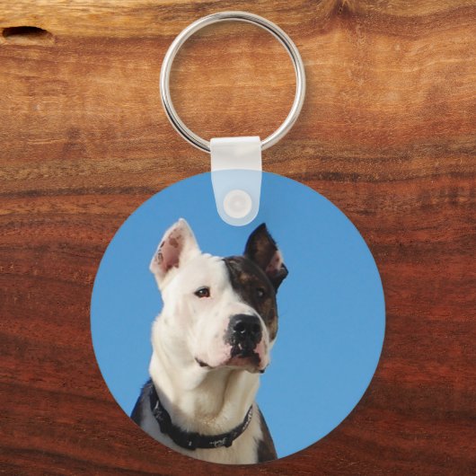 Tonka, de pitstier, Sleutelhanger (Voorkant)