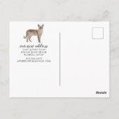 Tonkinese Briefkaart voor het verplaatsen van katt (Achterkant)