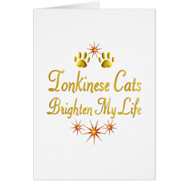 Tonkinese katten lichten mijn leven op (Voorkant)