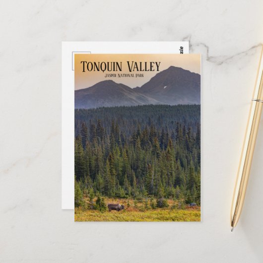 Tonquin Valley, Jasper NP Caribou Postcard Briefkaart (Voorkant / Achterkant in situ)