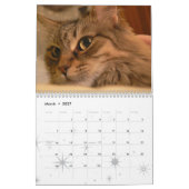Tonsley & Julie 2010 Agenda Kalender (Mar 2027)