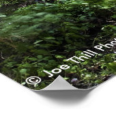 Tonti Canyon - Starved Rock State Park Poster (Hoek)