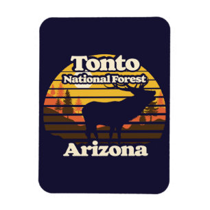 Tonto Nationaal Woud Arizona Magneet