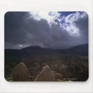 Tonto National Forest, Arizona, Verenigde Staten Muismat