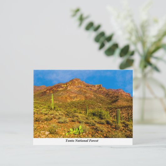 Tonto National Forest Briefkaart (Staand voorkant)