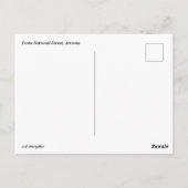 Tonto National Forest Briefkaart (Achterkant)