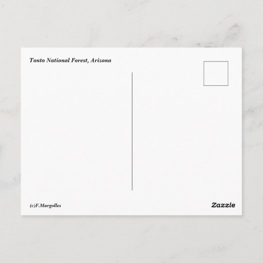 Tonto National Forest Briefkaart (Achterkant)