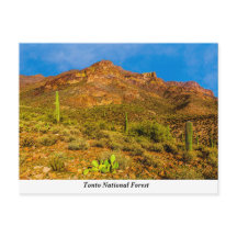 Tonto National Forest Briefkaart
