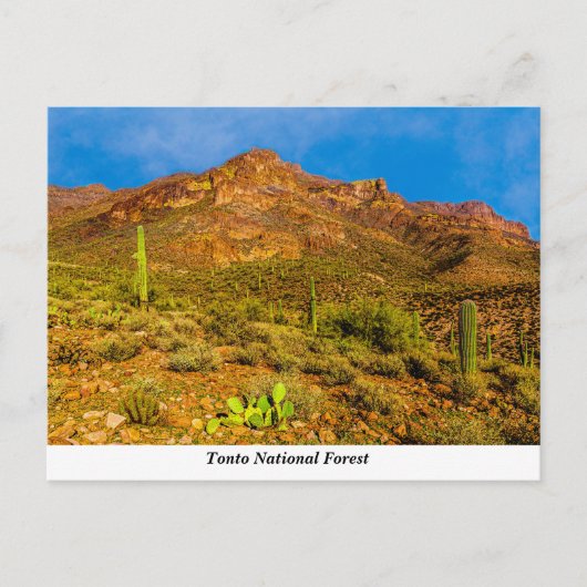 Tonto National Forest Briefkaart (Voorkant)