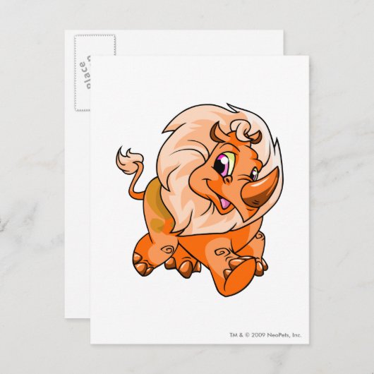 Tonu Sinaasappel Briefkaart (Voorkant / Achterkant)