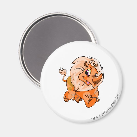 Tonu Sinaasappel Magneet (Voorkant / Achterkant)