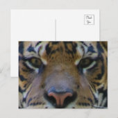 Tony Briefkaart (Voorkant / Achterkant)