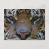 Tony Briefkaart (Voorkant)