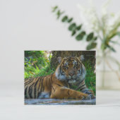 Tony Briefkaart (Staand voorkant)