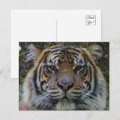 Tony Briefkaart (Voorkant / Achterkant)