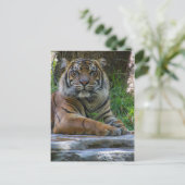 Tony Briefkaart (Staand voorkant)