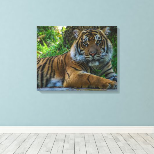 Tony Canvas Afdruk (Insitu (Houten vloer))