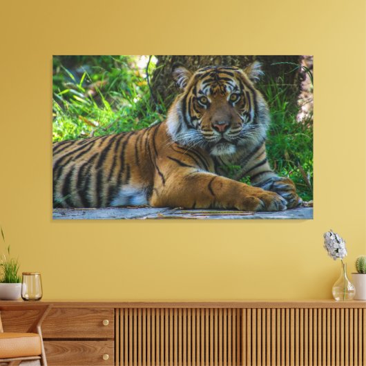 Tony Canvas Afdruk (Insitu (Woonkamer))