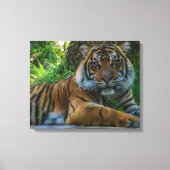 Tony Canvas Afdruk (Voorkant)