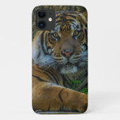 tony Case-Mate iPhone case (Achterkant)