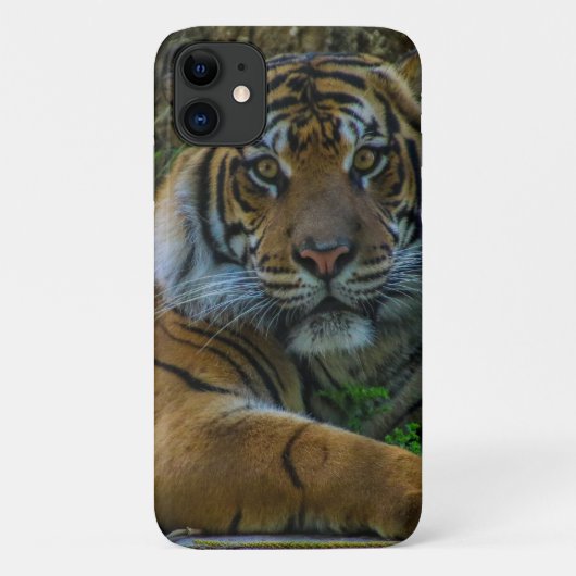 tony Case-Mate iPhone case (Achterkant)