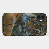tony Case-Mate iPhone case (Achterkant (horizontaal))