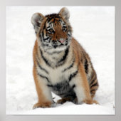 Tony Jr. Poster (Voorkant)