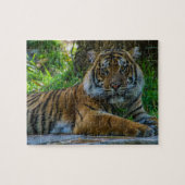 Tony Legpuzzel (Horizontaal)