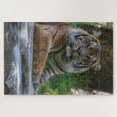 Tony Legpuzzel (Horizontaal)