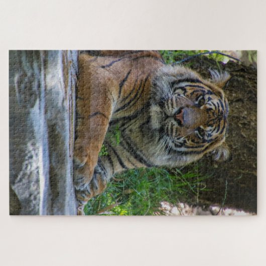 Tony Legpuzzel (Horizontaal)