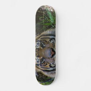 Tony Persoonlijk Skateboard