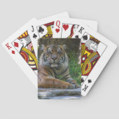 Tony Pokerkaarten (Achterkant)