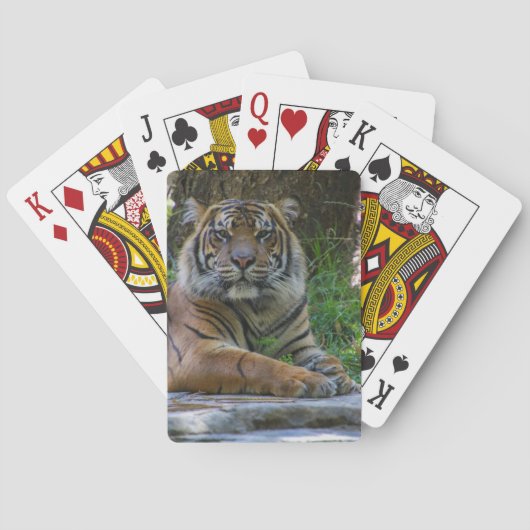 Tony Pokerkaarten (Achterkant)