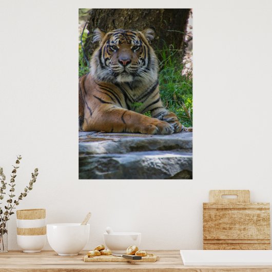 Tony Poster (Keuken)