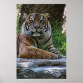 Tony Poster (Voorkant)