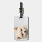 too Cute Pomeranian Bagagelabel (Voorkant verticaal)