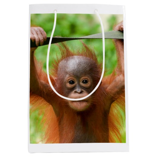 Too Cute to Handle – Little Orangutan Medium Cadeauzakje (Voorkant)