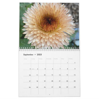 TooleyWoods 2023 Agenda Kalender